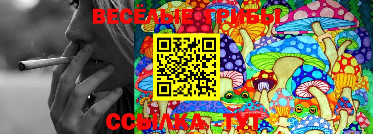 Галлюциногенные грибы прущие грибы Гай