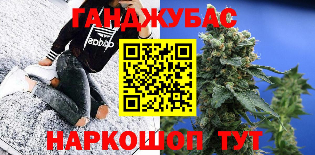 Конопля планчик Гай